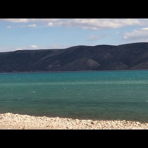 Meet your Posher, Lynne